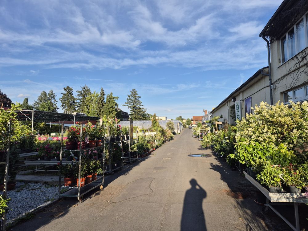 Hermann Rothe Gartenbau – Einblick 3